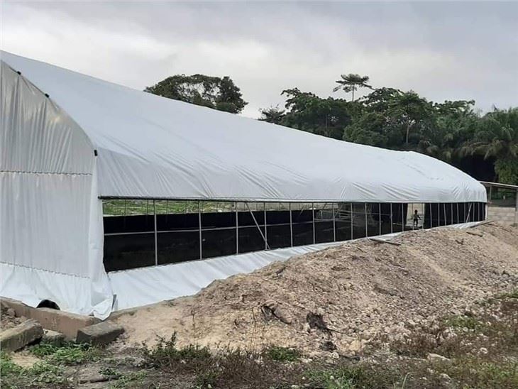Black And White Film Greenhouse Single Span