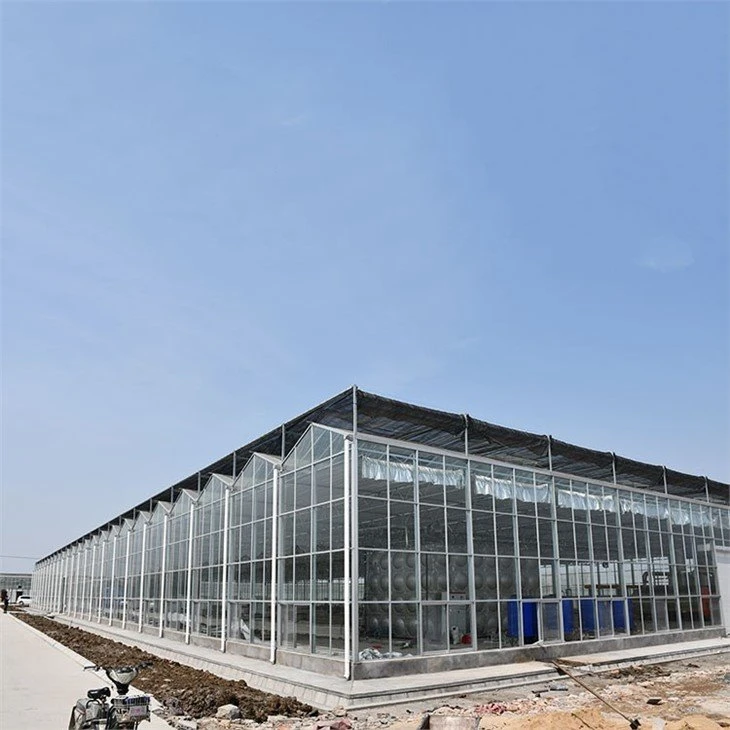 glass-for-greenhouse-china.com