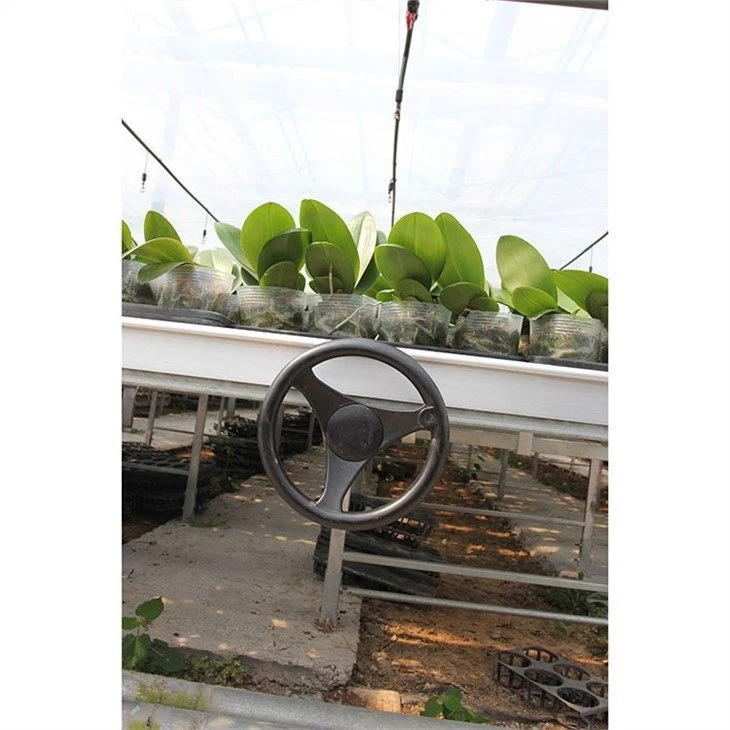 China-greenhouse