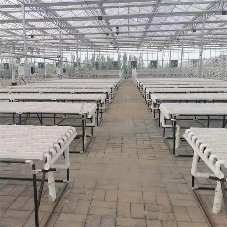 Hydroponics Vertical Farming