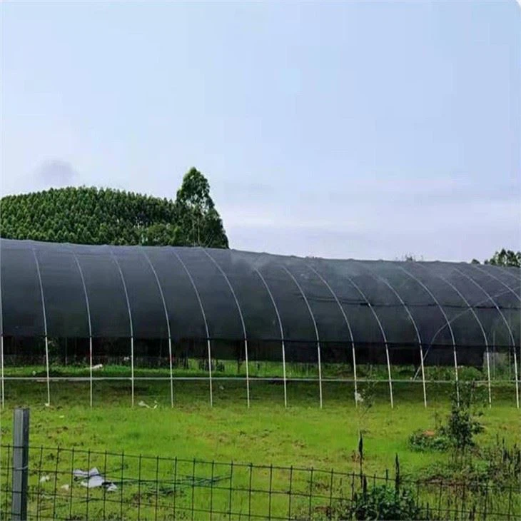 Mini Tunnel Greenhouse Price