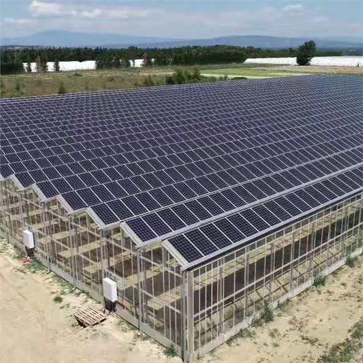 Photovoltaic Panel For Greenhouse