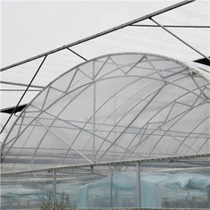Film Green Houses