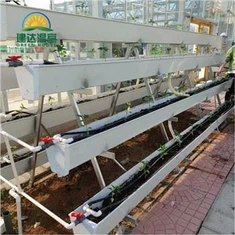 Sistema Hidropônico de Calhas Vegetais