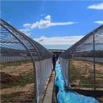 Estufa de filme singlespan