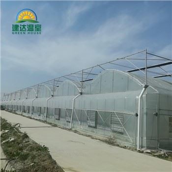 Estufa de alface vegetal com hidroponia