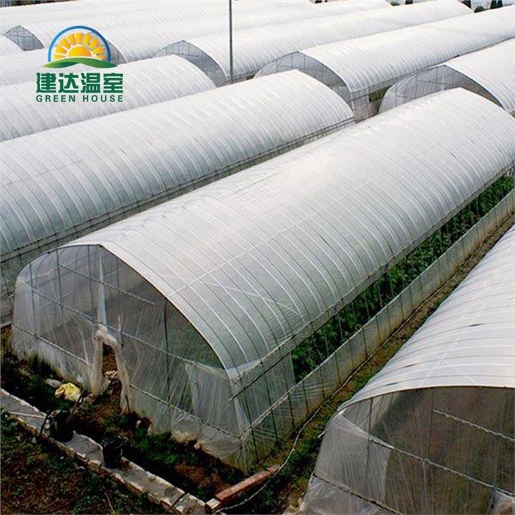 Tunnel Greenhouse