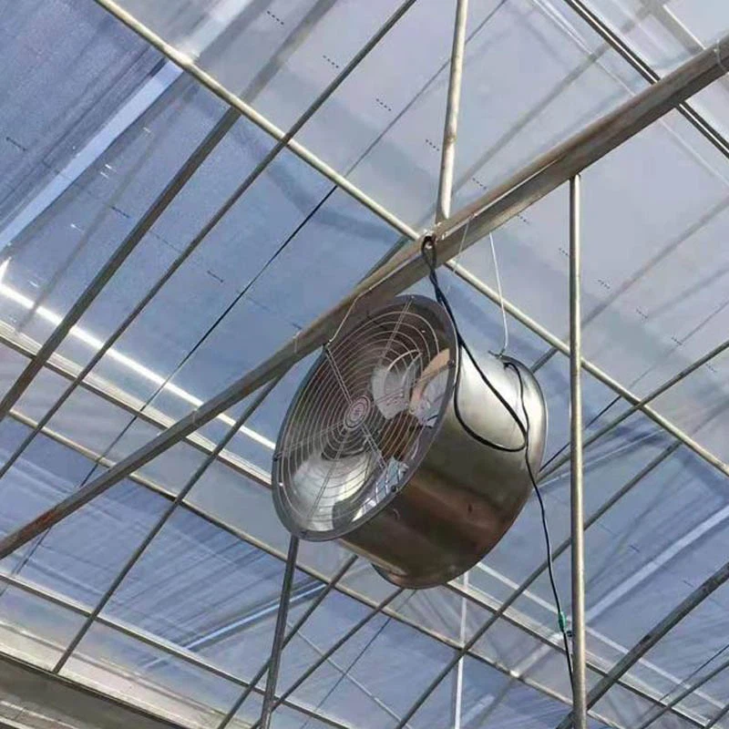 air fan air fan
