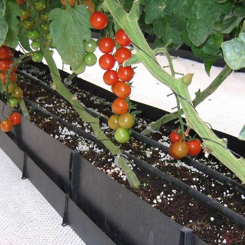 Polypropylene PP Soilless Cultivation Troughs suppliers